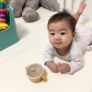 띵호와왕서방 | 육아일기 :: 생후 9개월 D+270~279, 8개월 원더윅스 종료! 아이주도 이유식의 시작:)