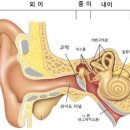 포낙보청기 왕십리센터 이미지