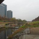 양재천근린공원 이미지