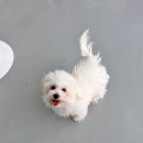 아이조아요양호텔 이미지