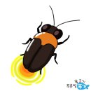 반딧불 PC 이미지