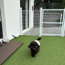 멍발소 하우스 이미지