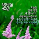 메세지 이미지