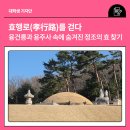 효행로 네이버블로그