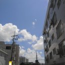 210 | Canon ixus210 후기 // 익서스210 무작위 작례