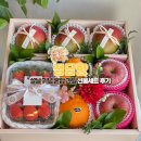 정담기업 | 설날 선물세트 추천 - 서울 과일 바구니 [정담향] 후기