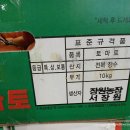 마감)쎄일)장수 찰토마토. 이미지