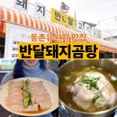 효동로2길 | 대구 동촌유원지 맛집 한식 깔끔한 돼지곰탕 반달돼지곰탕집 후기