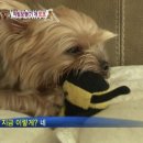 또또농장 이미지