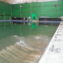 감악산낚시터 이미지