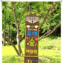 도음산 유아숲체험원 이미지