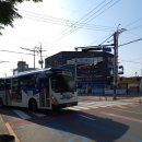 진천읍행정복지센터 앞 이미지