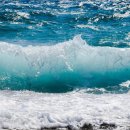 연포해수욕장(송림) 이미지