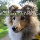 계산동물병원 이미지