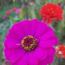 정도전길 | 김포공항 공식 주차대행 주차장 주차비 후기