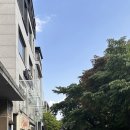 베어베이크 | 연남동 신상카페 앙베어베이크, 글루텐프리 디저트 맛집