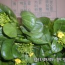 심재집농장 이미지