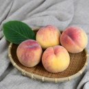 조성림「춘천사랑」 이미지