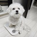 동이네집 이미지