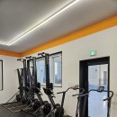 어라이브 피트니스 이미지