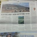 에이스광고 이미지
