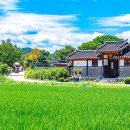 경상북도 안동시 하회마을관리사무소 | 경북 안동역 가볼만한곳 시내에서 근처 하회마을 도산서원 여행코스