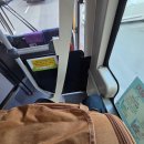 광주운남동물약국 | 광주 수컷 고양이 중성화 운남동물병원 내돈내산 후기