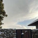 자단연원 이미지