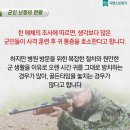 말바우보청기 이미지