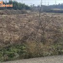 초대2리 마을회관 이미지