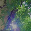형님보쌈아우왕족