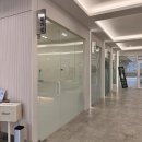 더봄동물병원 | 고양이 SUB 플러싱 비용 후기 | 양천구 목동 동물병원 검사 항목, 영수증 공개