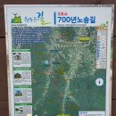 원주굽이길 2코스 700년 노송길 이미지