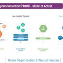 닥터 메포츠 이미지