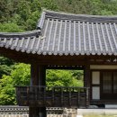 세종SJ행정사사무소