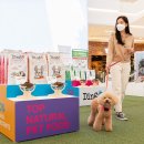 꽃길만 걷개 이미지