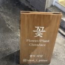 꽃이피담