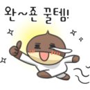 호주면세점직영할인점 이미지