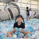 태낭태사 태권도 이미지