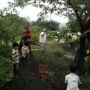 물레방아농장 이미지