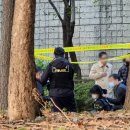 신동근린공원 이미지