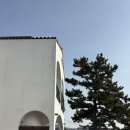 귤낭하우스20