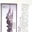 일본 나고야 박물관 소장 고지도 '대마도는 조선속국' 이미지