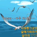 💻2021년 8월 5일 목요일 간추린 &amp; 헤드라인 뉴스💻 이미지