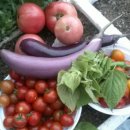 행운동-26 이미지