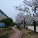 선암초등학교 이미지