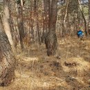 보현산 등산로 이미지