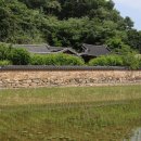 기사길(예안면) 이미지