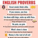 한빛 외국어번역 행정사사무소 이미지