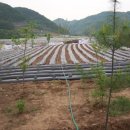 서강농장 이미지